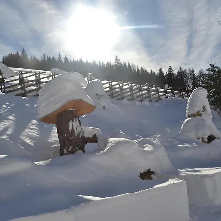 Ferienhaus Webertonihütte *